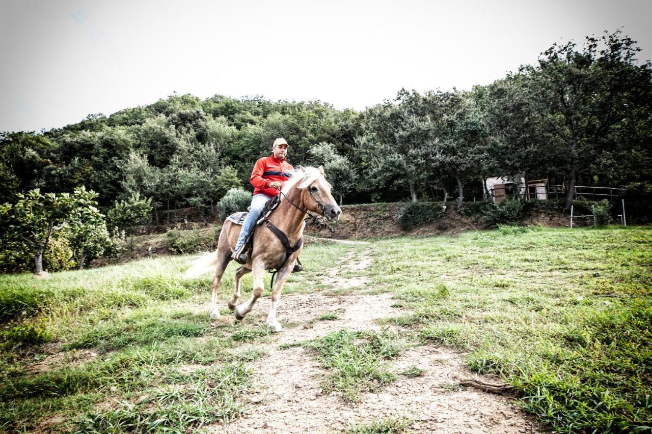 Borgo Rosso Di Sera - Resort Country Chic San Lucido Buitenkant foto
