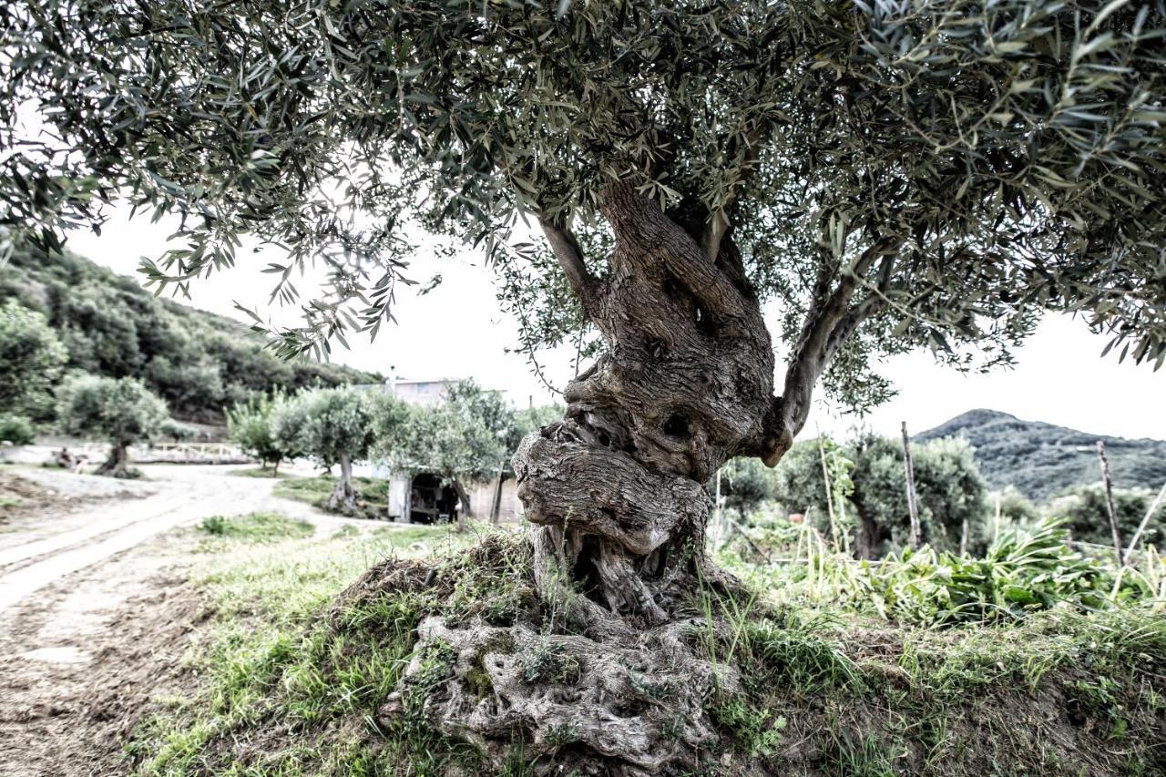 Borgo Rosso Di Sera - Resort Country Chic San Lucido Buitenkant foto