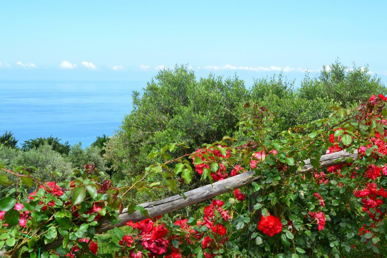 Borgo Rosso Di Sera - Resort Country Chic San Lucido Buitenkant foto