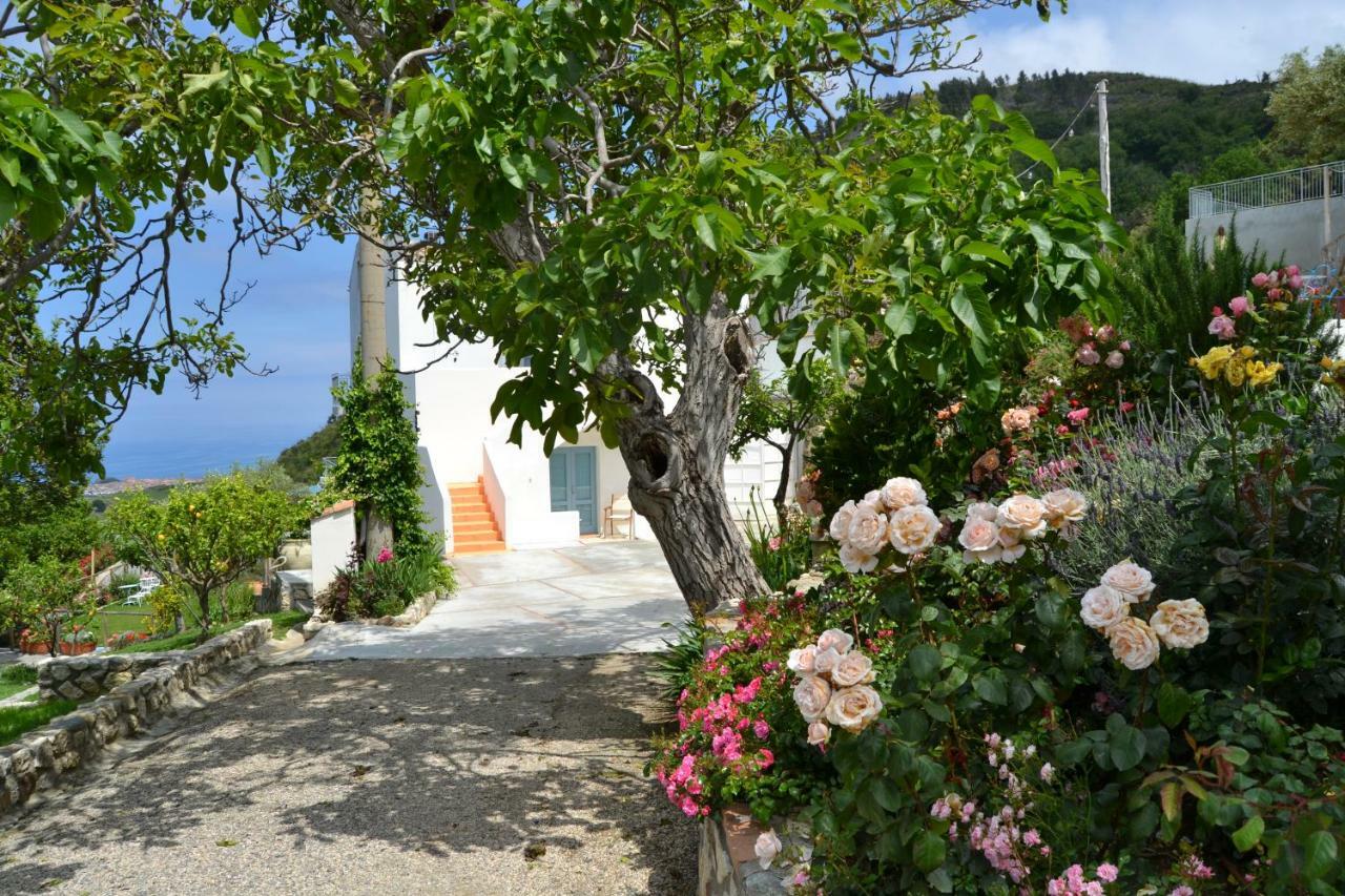 Borgo Rosso Di Sera - Resort Country Chic San Lucido Buitenkant foto